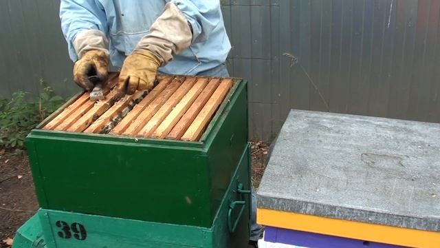 Пчёлы не идут в магазин - что делать ? Как заставить пчел осваивать магазинную наставку смотреть онлайн
