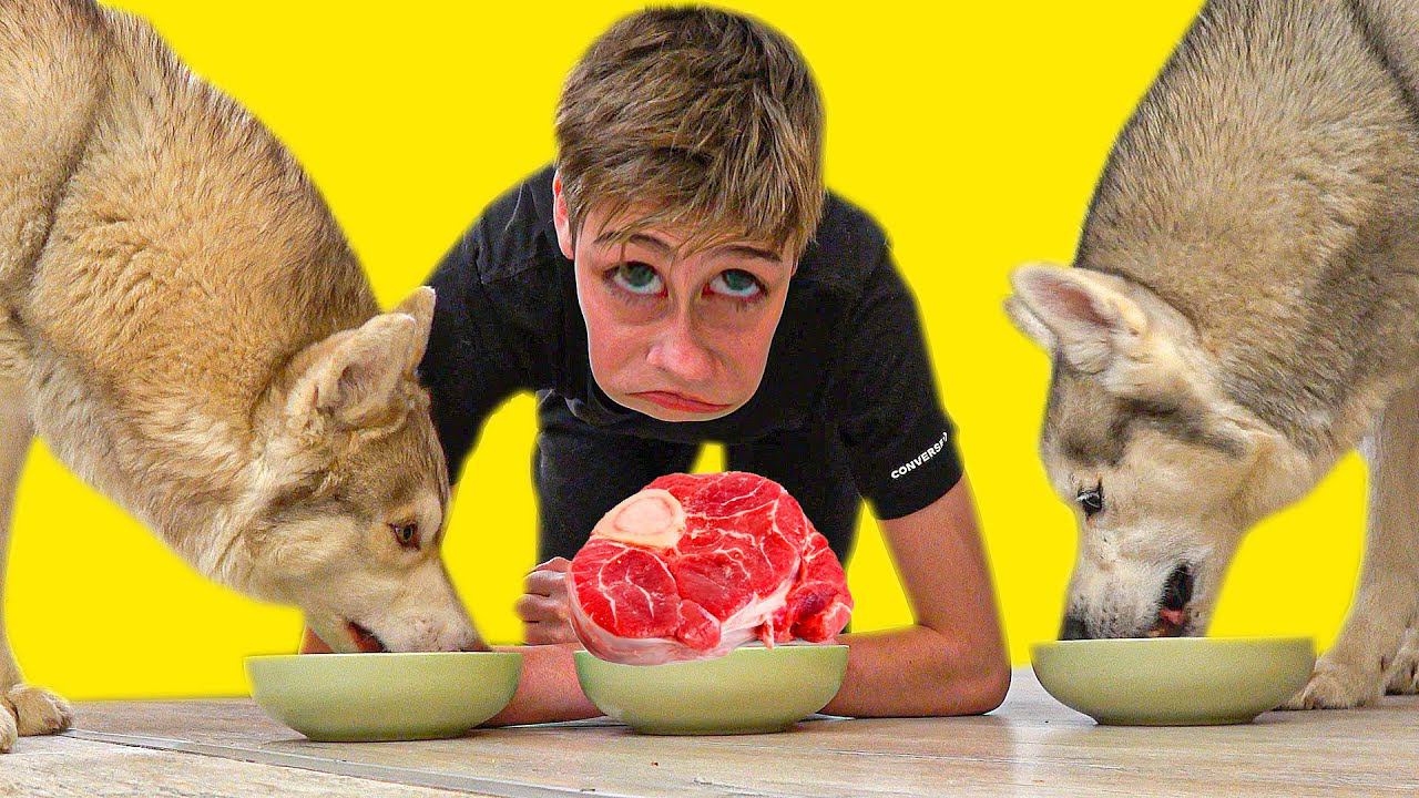 ЧЕЛОВЕК VS ХАСКИ: КТО БЫСТРЕЕ СЪЕСТ МЯСО?? / Было Не было (Хаски Бандит) Говорящая собака смотреть онлайн