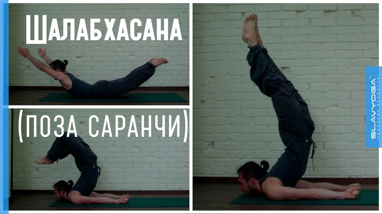 Шалабхасана (поза саранчи) Ардха, пурна, урдхва, випарита шалабхасана ⚡ Асаны йоги ⭐ SLAVYOGA смотреть онлайн