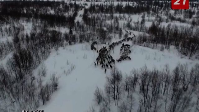 Заповедник: Краснокнижный олень смотреть онлайн