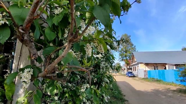Весна в Камбарке смотреть онлайн