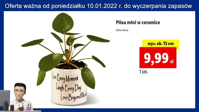 LIDL | Oferta Od Poniedziałku 10.01.2022 | Kwiaciarnia Lidla