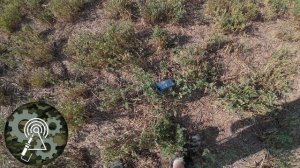 Пикающие батарейки