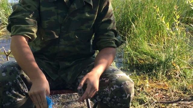 Ловля на поплавочную удочку карася и окуня . Секреты приготовления прикормки смотреть онлайн