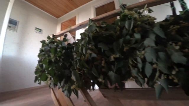 Жизнь в деревне. Подцепили КЛЕЩА! Вяжем ЛИПОВЫЕ ВЕНИКИ День второй смотреть онлайн