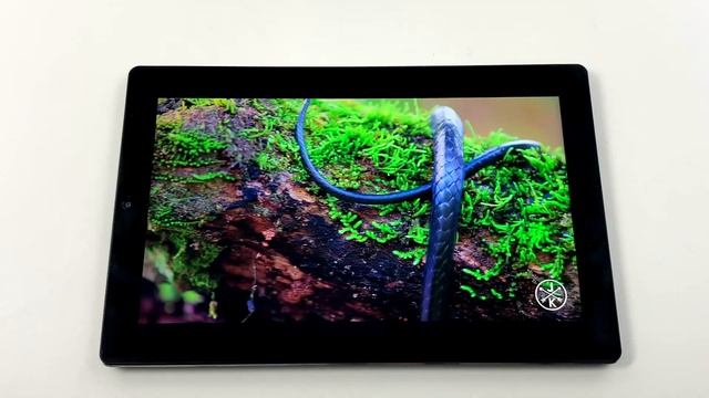 CHUWI Hipad 10" Tablet - 10 Core CPU Helio X27 смотреть онлайн