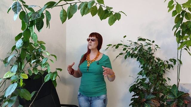 Альфа инстинкт - движущая сила успешного человека. Лидер воспитывается с детства смотреть онлайн