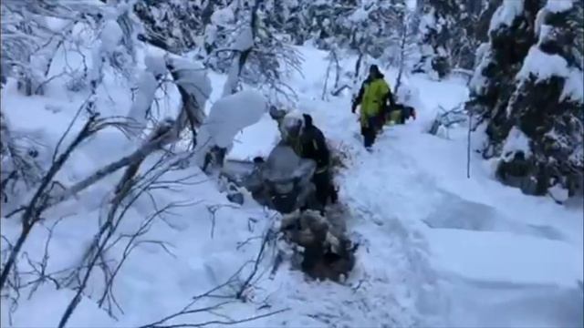 Кандалакша декабрь 2020 смотреть онлайн