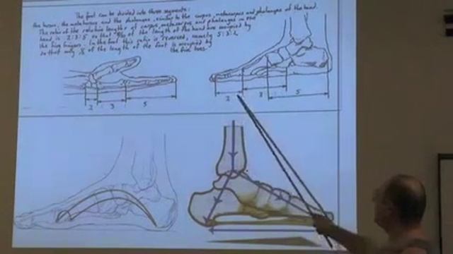 Examining Architecture - Hands & Feet, by Leslie Kaminoff смотреть онлайн