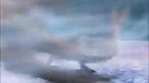 Saurophaganax ~ Monster Skillet AMV