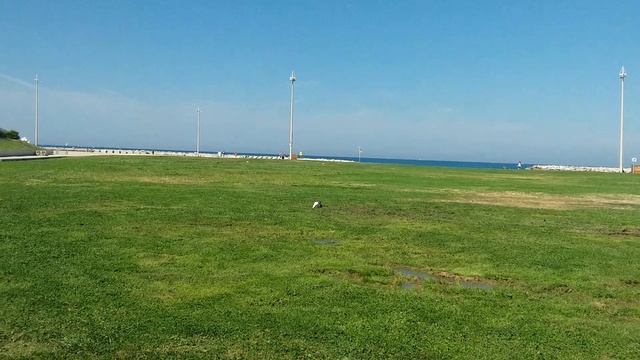 ГАЛОПОМ ПО МАРСЕЛЮ - ГЛАВНОЕ - ДОЙТИ ДО МОРЯ смотреть онлайн