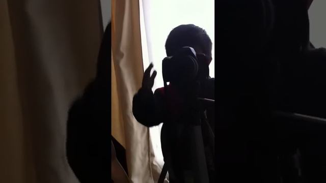 Renato fotógrafo смотреть онлайн