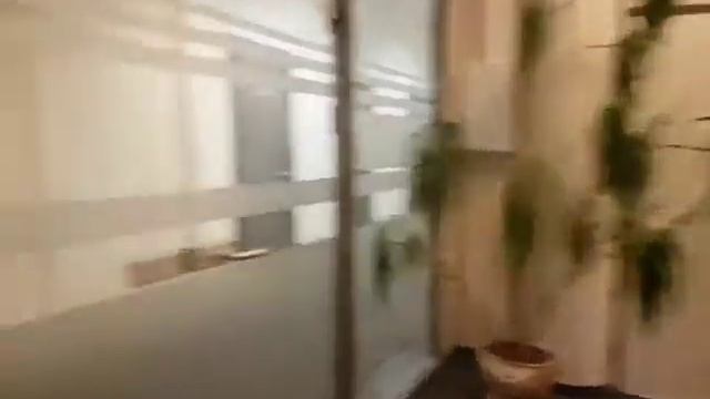 Спасение драцены смотреть онлайн