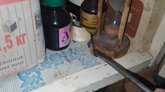 ТАРАКАН ЗАЛЕЗ НА ПОТОЛОК КОМНАТЫ смотреть онлайн