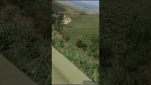 а это родельбан, полное видео. смотреть онлайн