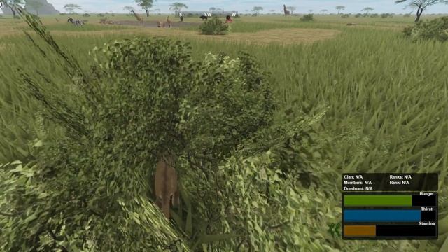 Roblox Testing A Giraffe Hunting смотреть онлайн