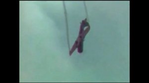 Выступление Чемпиона Мира по высшему пилотажу Виктора Лецко 21.08.1977