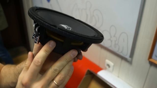 Deaf Bonce - весь модельный ряд!