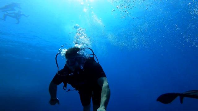 Дайвинг Египет Шарм-эль-Шейх. Diving Egypt Sharmelsheikh.