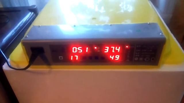 китайский инкубатор Ln2 56 вывод яиц