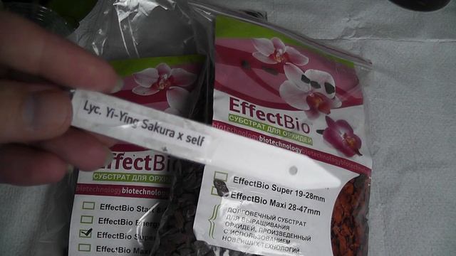 Новые орхидеи из группы HAPPY ORCHID. смотреть онлайн