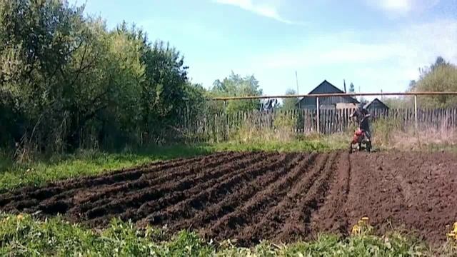 Сажаем пока солнце смотреть онлайн