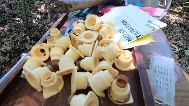 ГОТОВИМСЯ К ВЫВОДУ МАТОК КОРДОВАН! СОТ НИКОТ И КАК ОЧИСТИТЬ ОТ ВОСКА МИСОЧКИ И ЦОКОЛЯ? смотреть онлайн