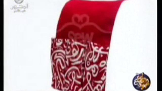 Aliaa Abd Elfattah founder of "Sew What?" on Mehwar TV with Sherif Madkour смотреть онлайн