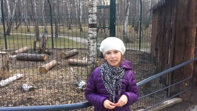 Белгородский зоопарк! Обзор. смотреть онлайн