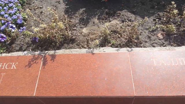 Николаев,зоопарк у входа17.09.21 смотреть онлайн