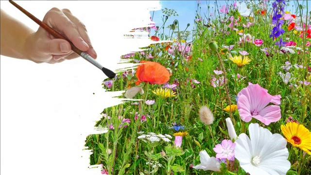 Я нарисую мир таким,каким  люблю