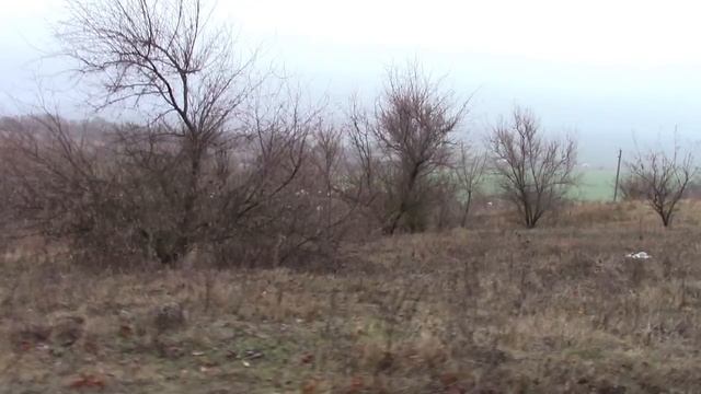 2018_01_ 07_СТЕПЬ_СТАВРОПОЛЬЕ.mp4 смотреть онлайн