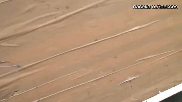 Ящик - рамконос для пасеки из пенопласта. смотреть онлайн