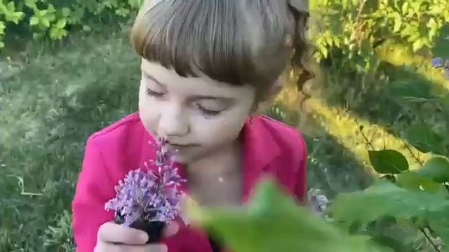 Ролик - представление Студия " Курносики" смотреть онлайн