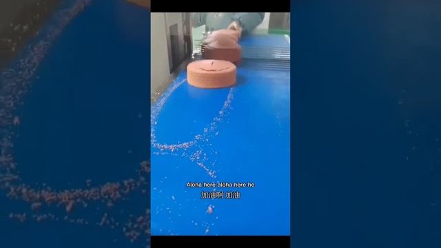 Аппарат горизонтальной резки (Китай) смотреть онлайн