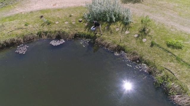 Чистая вода на базе отдыха! Легко, с хлореллой от компании Альготек #хлорелла #очисткаводоема смотреть онлайн