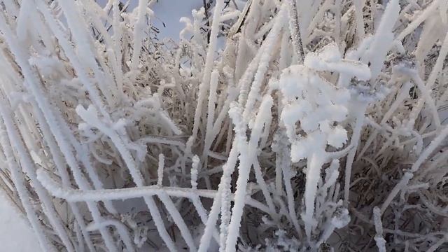 Зимняя сказка часть 1. смотреть онлайн