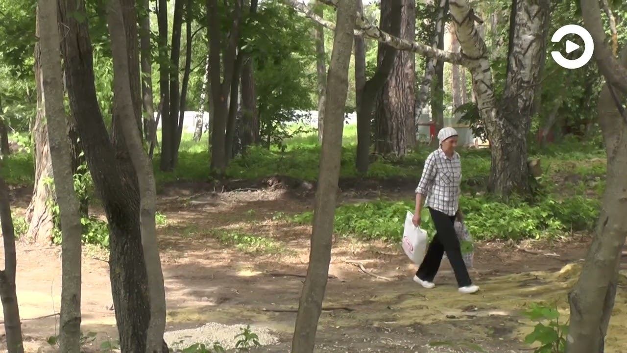 Голосование за благоустройство территории смотреть онлайн