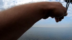 Ловля Саргана на шелковые Нитки