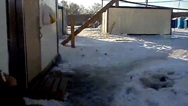 9 марта 2011 г. 8:45 смотреть онлайн