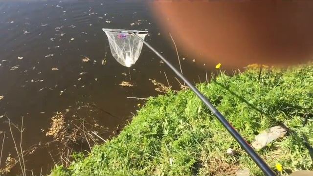 Фидерная рыбалка на реке Пахра.Влог-1 смотреть онлайн