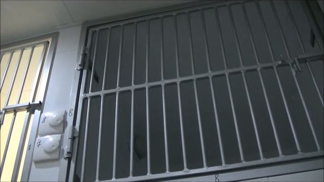 Зоогостиница и стационар ветеринарная клиника БембиСеверное Чертаново смотреть онлайн