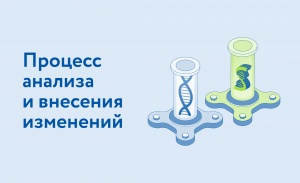 Урок 8. Процесс анализа и внесения изменений в фазе «Реализация»