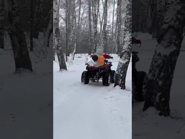 Отзыв клиента на Квадроцикл YACOTA SELA 200 MAX смотреть онлайн