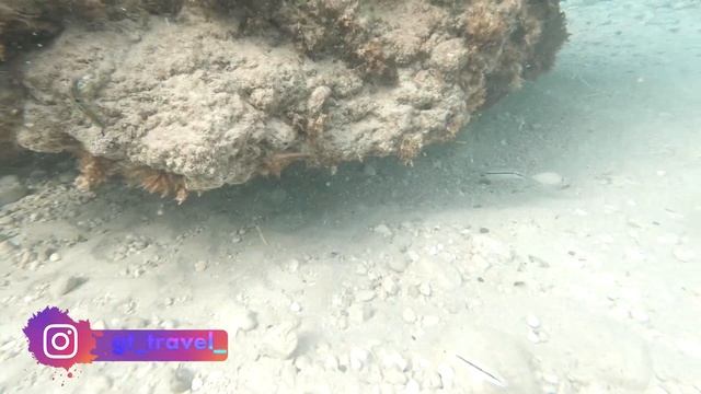 ЦЕНТРАЛЬНЫЙ И ДИКИЕ ПЛЯЖИ КЕМЕРА || Песчаный Пляж MOONLIGHT | Самый Лучший Пляж Кемера | Турция 202 смотреть онлайн