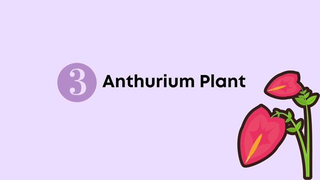 [Must Know] 5 Plants That Look Like Peace Lily смотреть онлайн