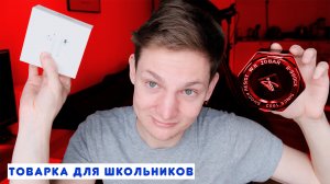 ТОВАРНЫЙ БИЗНЕС ШКОЛЬНИКУ С НУЛЯ / Как и с чего начать?