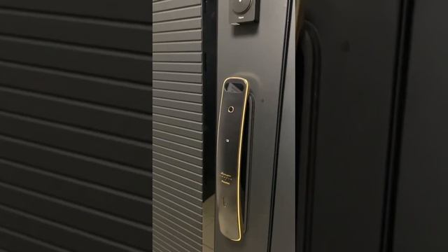 Обзор биометрического электронного замка Kaadas x Lamborgini. Срабатывание Face ID смотреть онлайн