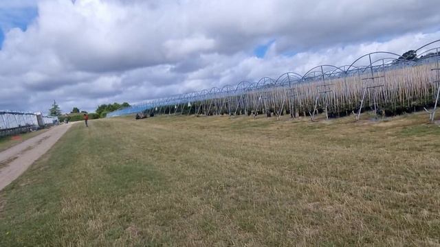 работа в Англии на клубнике смотреть онлайн