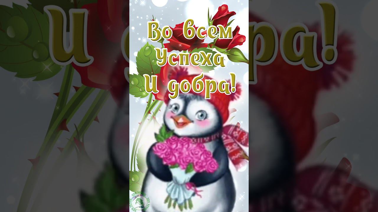 Доброе утро! Любви, здоровья и удачи! смотреть онлайн